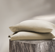 Eucalypso Silky Pillowcase Set
