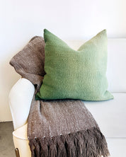 Llama & Silk Throw on couch