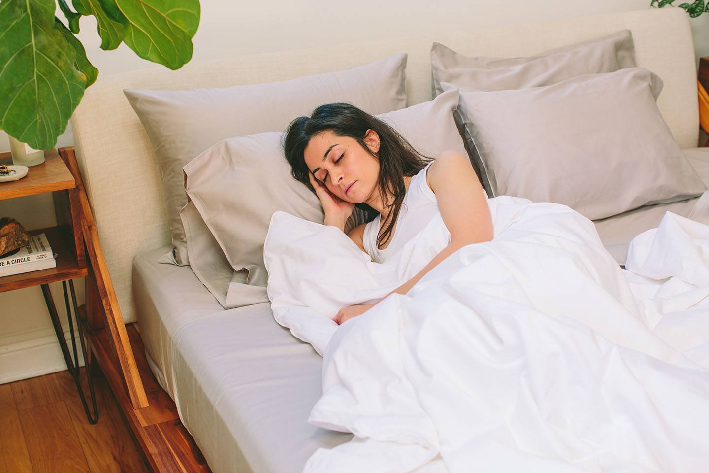 Mulberry Silk Cloud Comforter