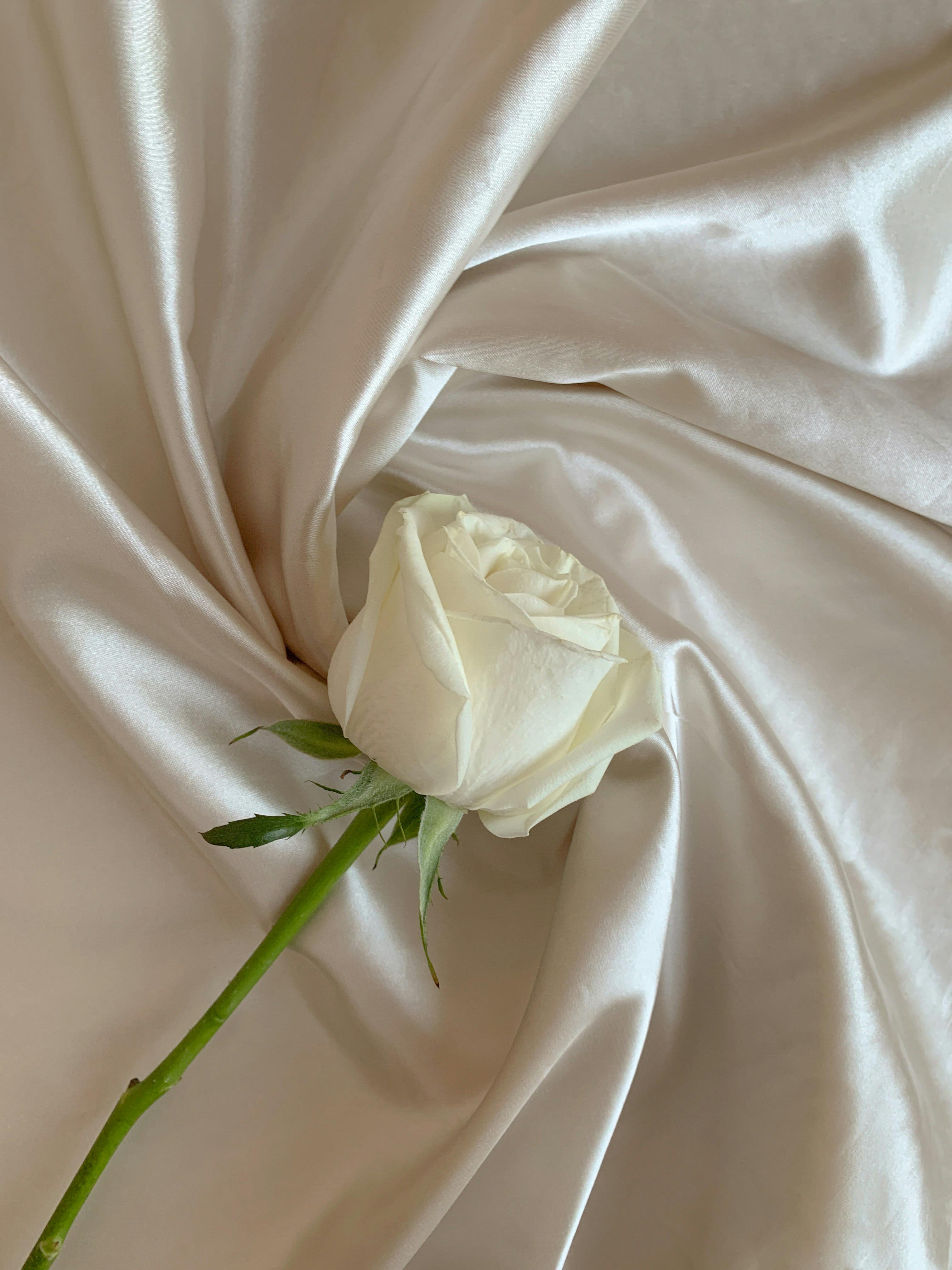Soft fabric with a rose laying on top