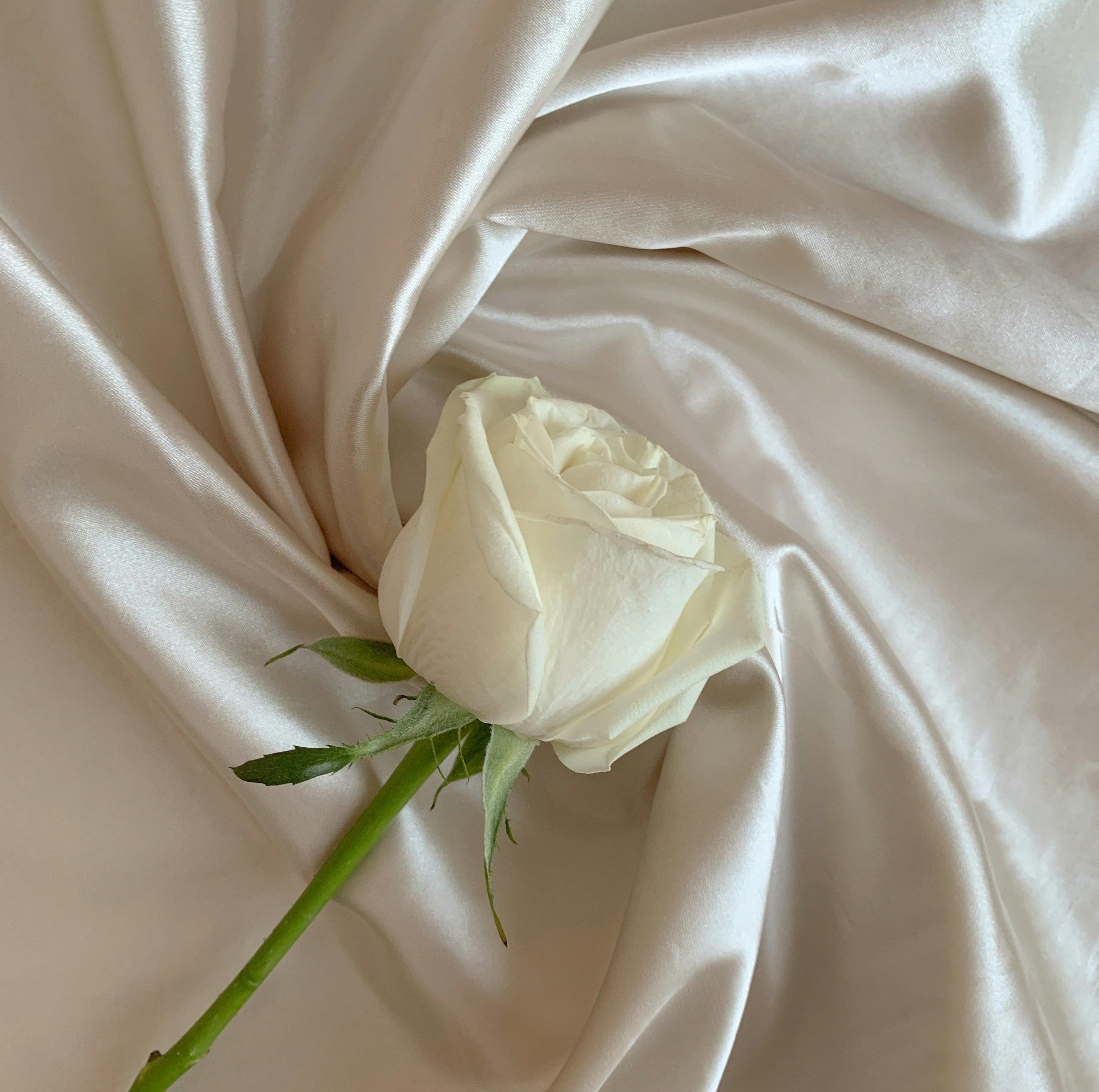 Soft Fabric with a rose laying on top