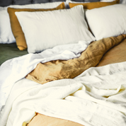 European Linen Shams