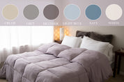 Pillowtex Dream in Color Comforter | All Season Weight with Soft Polyester Cover and Fill