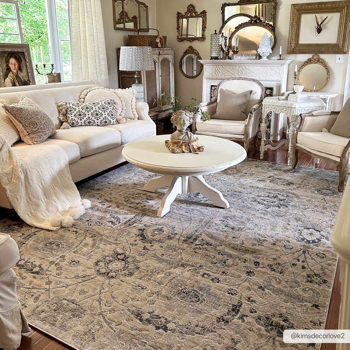 Georgiana-Beige-Area-Rug-8_x10_-SNN-710102-kimsdecorlove2-3.jpg