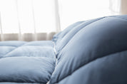 Pillowtex Dream in Color Comforter | All Season Weight with Soft Polyester Cover and Fill
