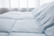 Pillowtex Dream in Color Comforter | All Season Weight with Soft Polyester Cover and Fill