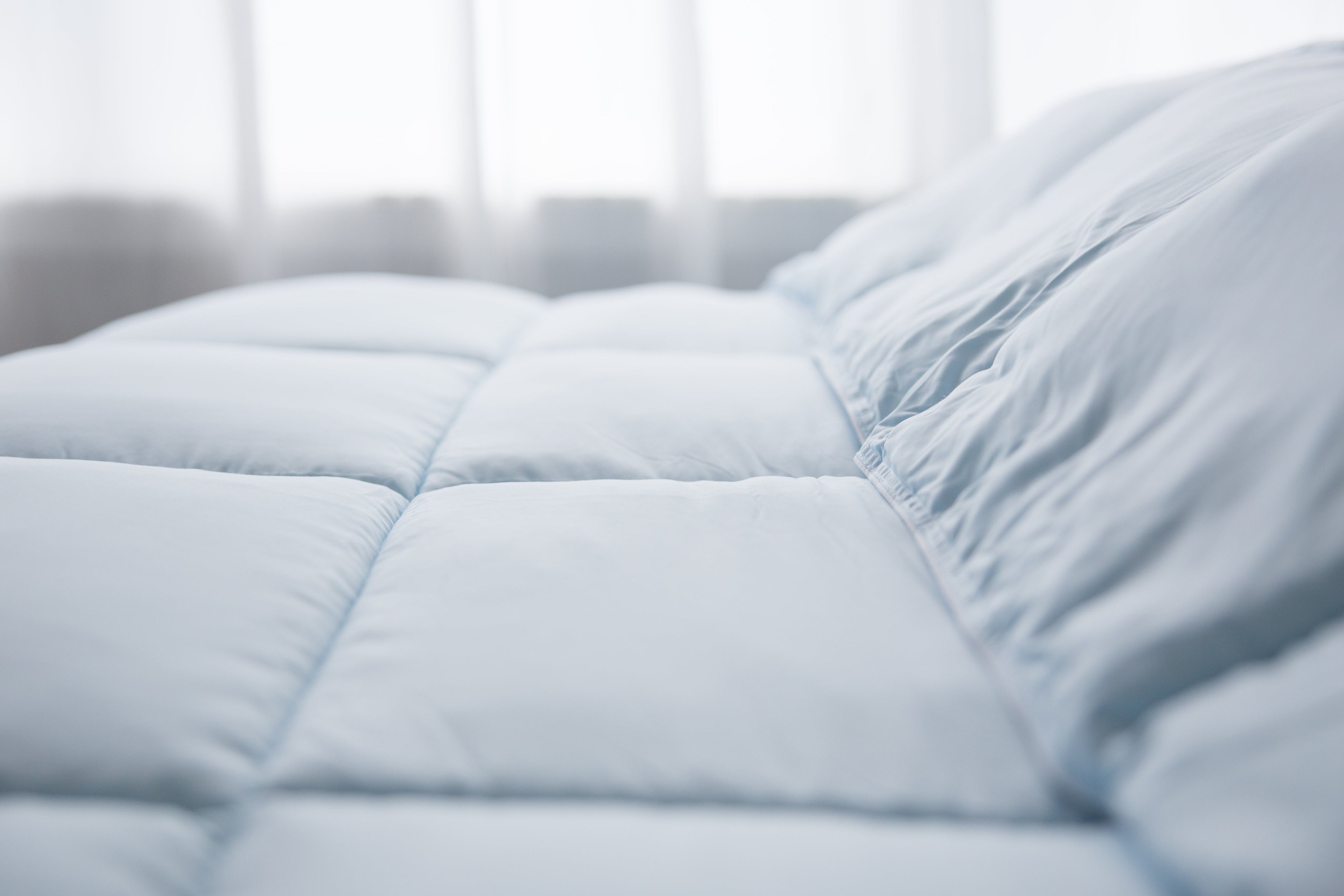 Pillowtex Dream in Color Comforter | All Season Weight with Soft Polyester Cover and Fill