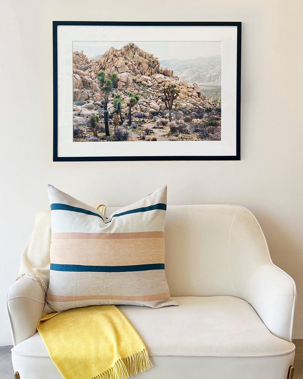 Joshua Tree Desert Landscape 30"x20" Framed Fine Art Photograph
