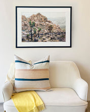 Joshua Tree Desert Landscape 30"x20" Framed Fine Art Photograph