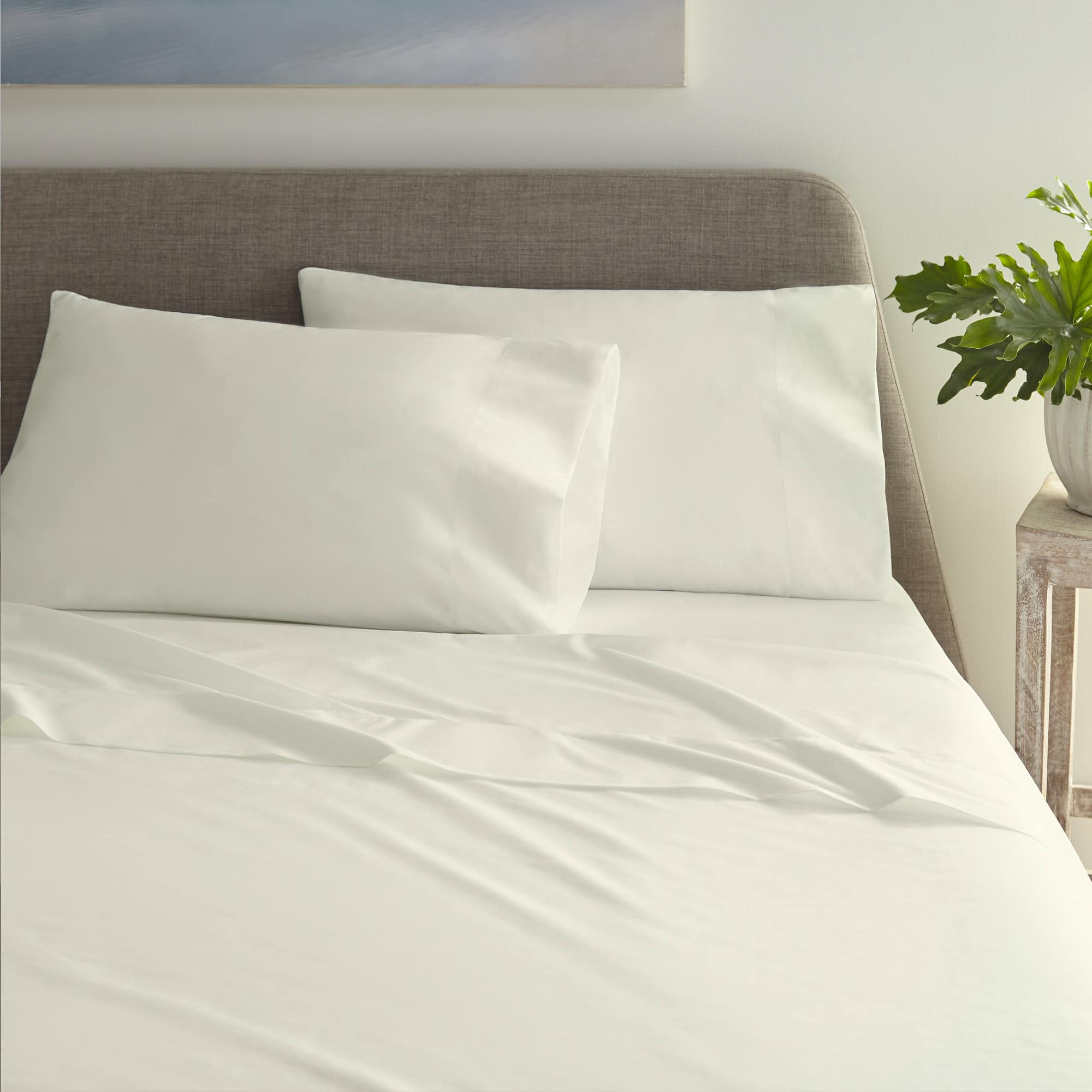 White bedding set on a bed with a gray headboard and plant in the background.