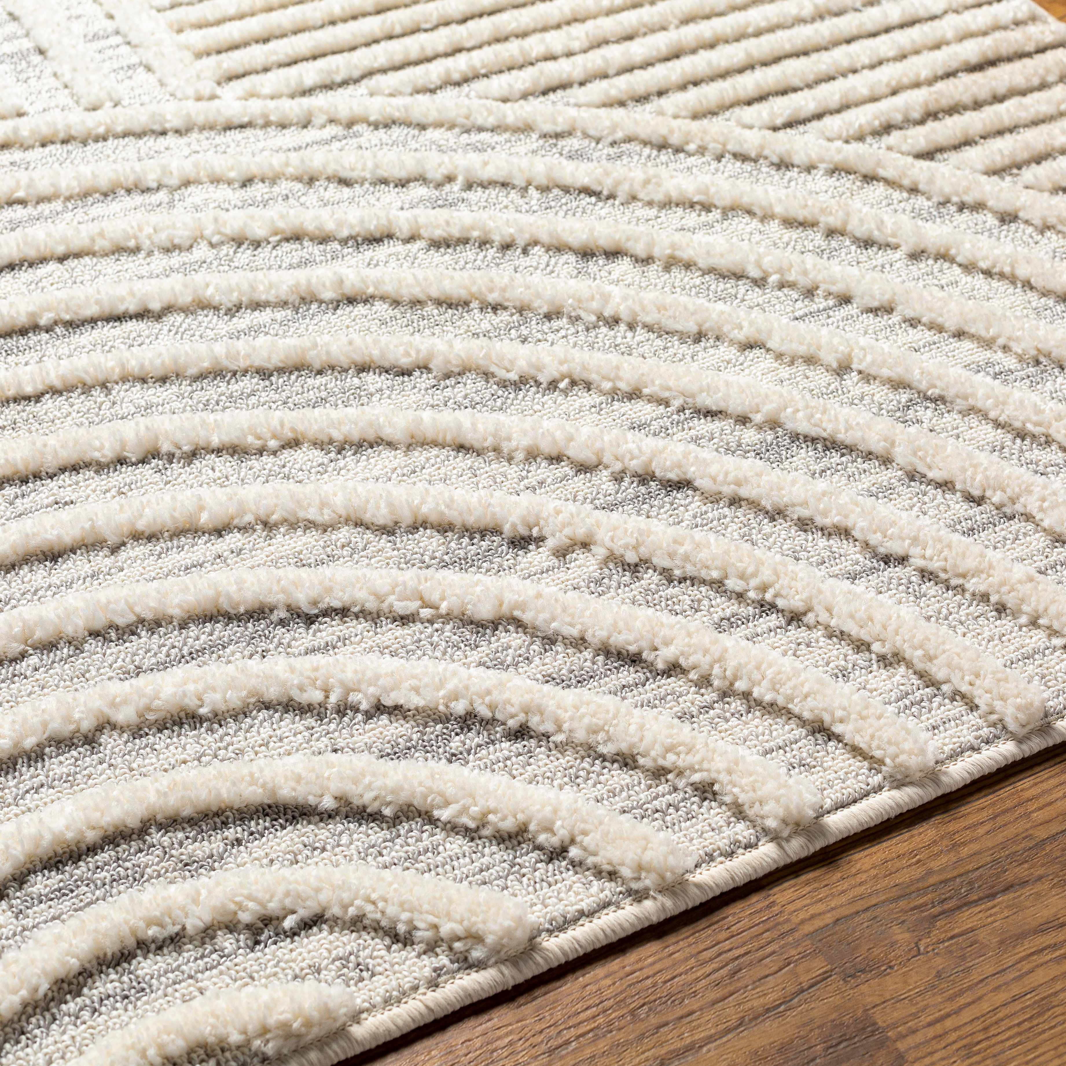 Dauin 3D Rainbow Area Rug with Tassels