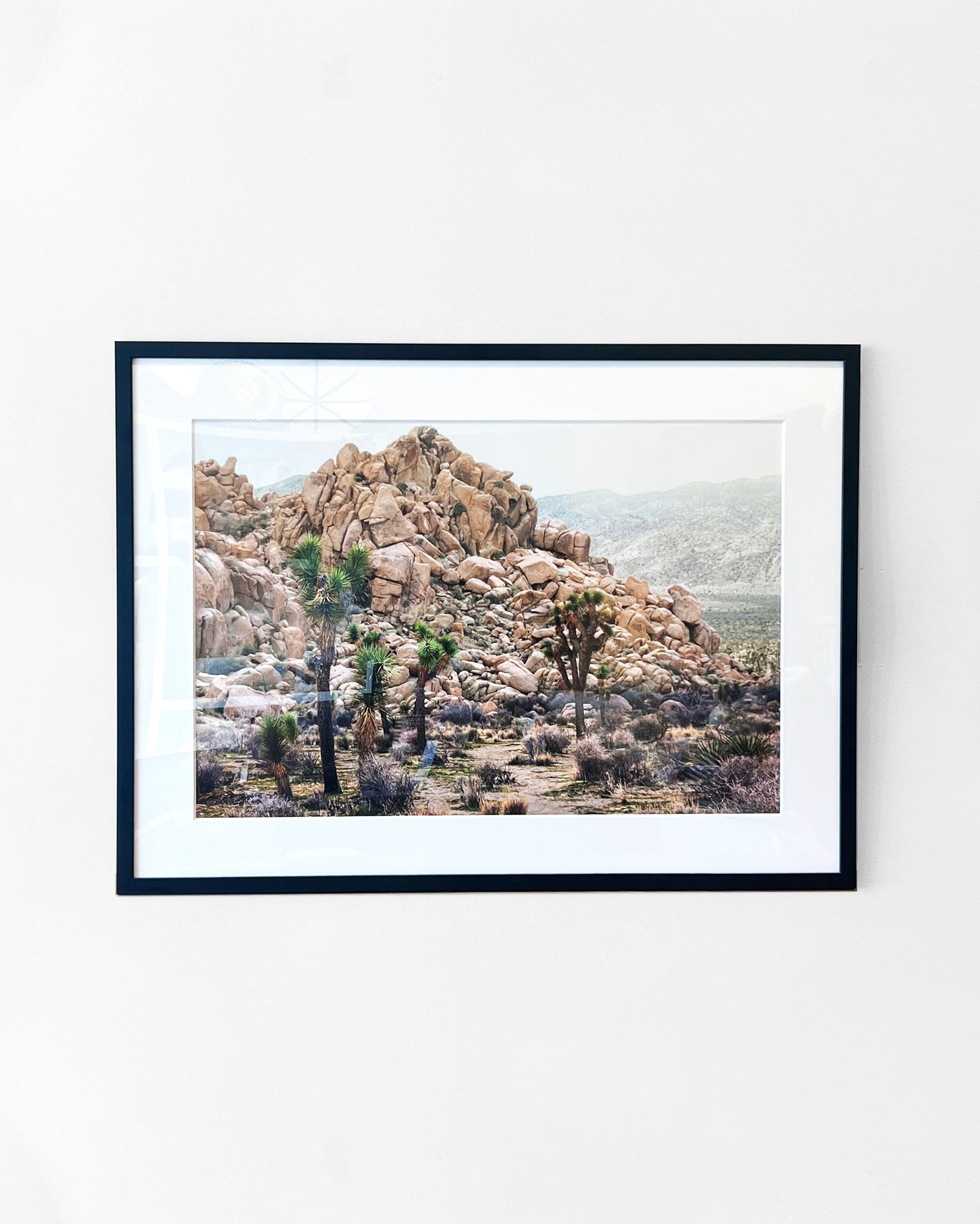joshua_tree_fine_art_photograph.jpg