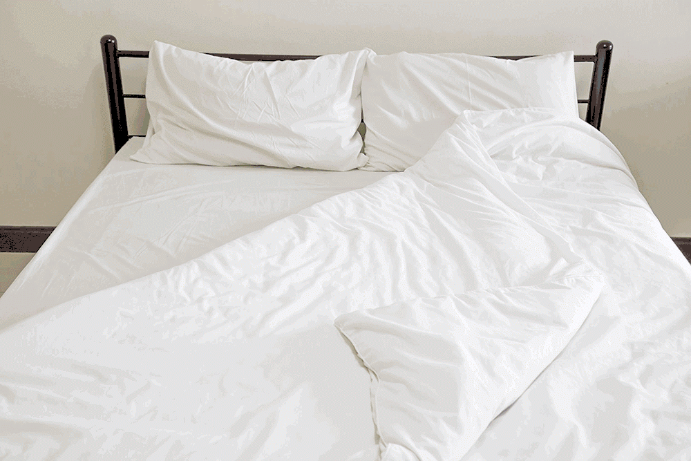 the-twovet-comforter-39.gif